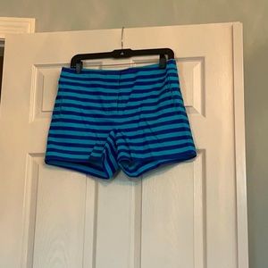 J. Crew Blue Stripe Shorts